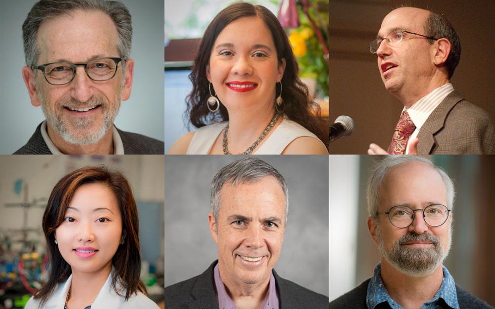 6 UCSD Experts elected AAAS Fellows