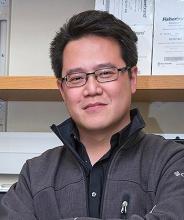 Professor Frank Tsung